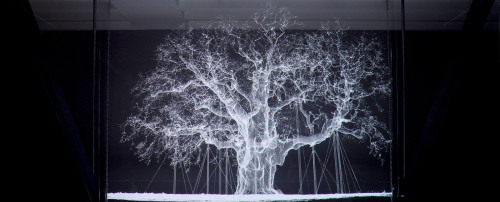 [MMOMA] Ксения Голубович - Предмет искусства_ обра_0.jpg